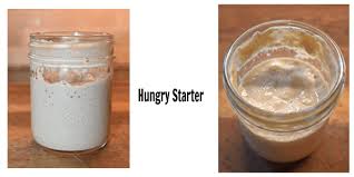 Hungry often looks flatter and less lively.