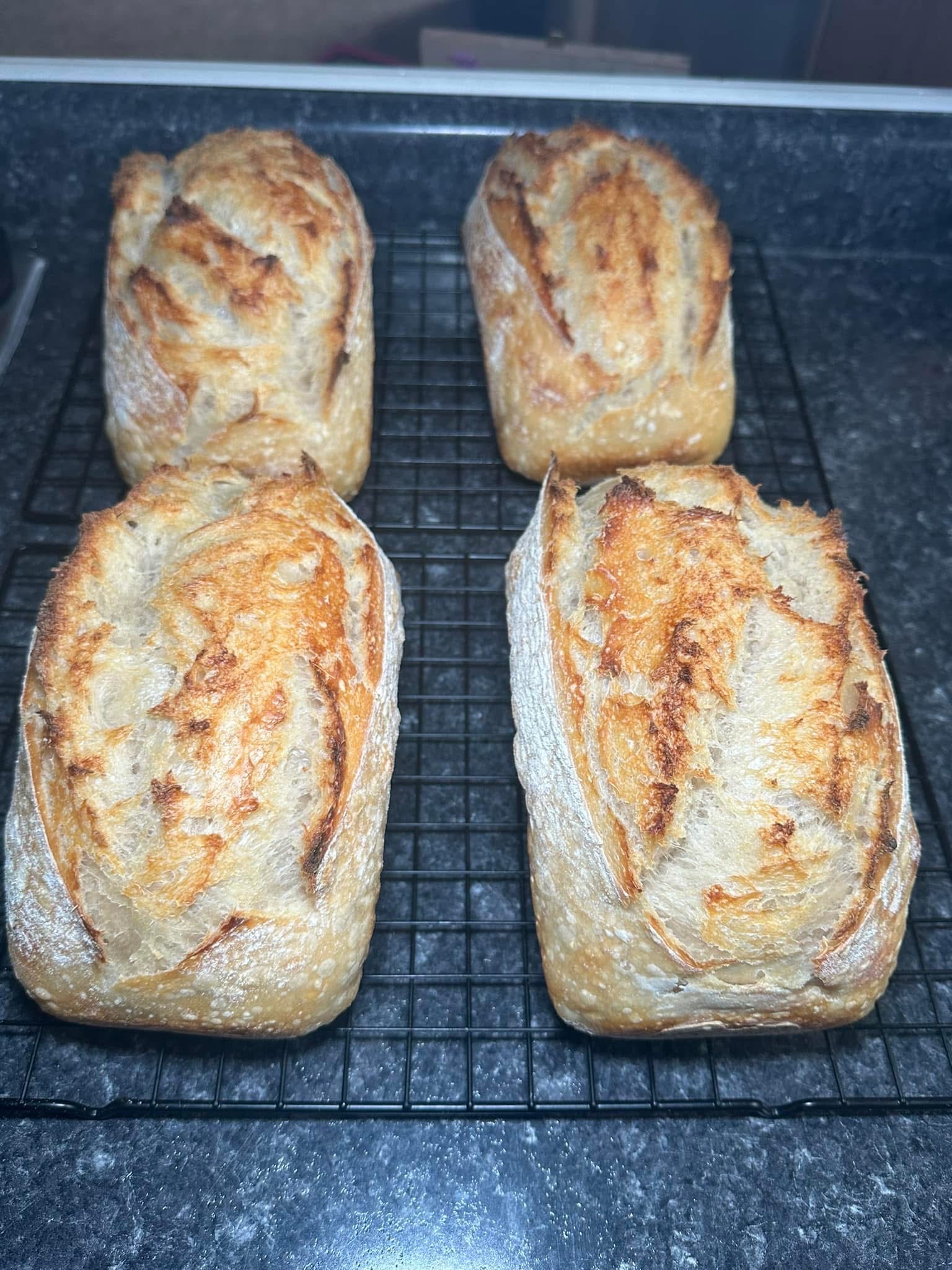 Fresh sourdough loaves cooling after baking