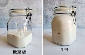 Starter and dough ready for baking