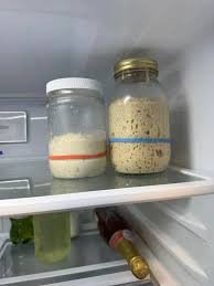 Starter stored in a refrigerator
