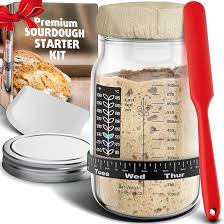 Sourdough starter jar with rise marker band and temperature strip